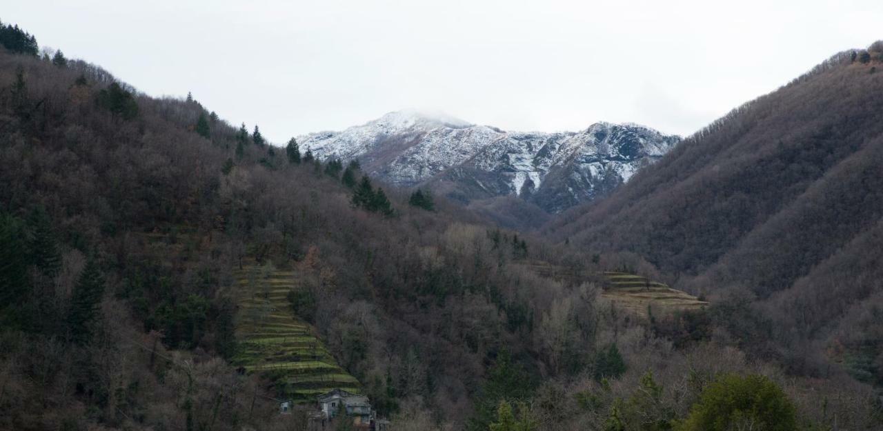 Casa Della Posta Lägenhet Borzonasca Exteriör bild